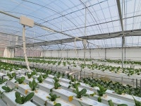 여수시, 스마트팜 아열대과수 단지 조성 시범 등 3억 9천만 원 투입