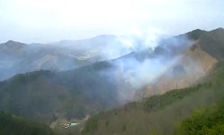 충남 공주시 우성면 '어천리 산불' 진화 완료