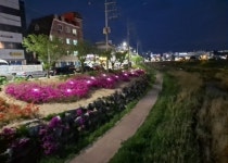 여주시 중앙동, 소양천에 별빛정원 선보여
