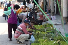 인제 기린전통시장, 66년만에 인정시장 등록