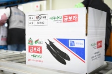 여주시, 여주 가지 일본 수출길 올라