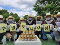 수원시, 시민농장에서 수확한 먹거리 취약계층과 나눠요