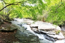 국립자연휴양림, 주중 재방문 고객 감사 이벤트 실시