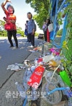 울산대공원 장미축제에 버려진 양심