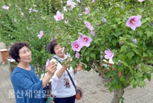 울산농업기술센터 무궁화 전시회