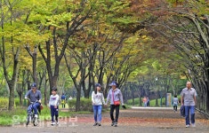 울산대공원 정다운 산책길