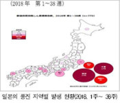 풍진, 특별한 치료법 도 없는 풍진 소식에 갑자기 쏟아지는 네티즌 관심...어찌 될까?