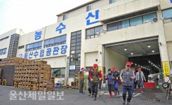 울산 농수산도매시장 종합 소방훈련
