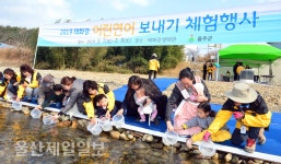 울산, 어린연어야 다시 만나!