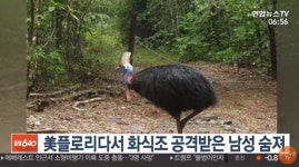동물학자들도 무서워하는 화식조…국내에서 만날 수 있다
