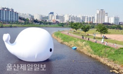 울산 태화강 러브웨일 전국 귀염둥이 됐다