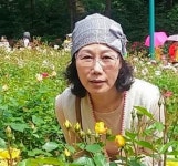 구상과 비구상의 경계를 허물다