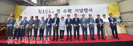 울산, 4년간 완판 명품 배 황금실록 본격 출시