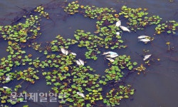 Naver 搜索结果照片 5