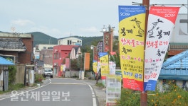 돼지열병 때문에… 울산, 봉계 한우축제 급취소