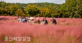 울산대공원 핑크빛 산책길