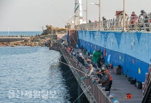 울산 슬도 방파제 학꽁치 낚시