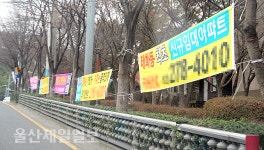 울산, 북부 순환도로 불법 현수막 눈살