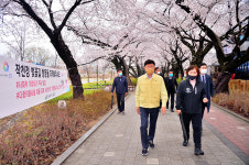 울주군, 코로나19 관련 작천정 벚꽃터널 현장점검