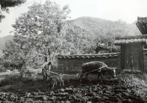 울산 대곡천의 반세기 넘는 세월 흔적 만나다