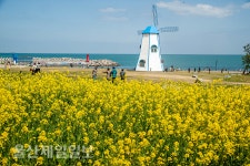 울산시민 간절곶 산책