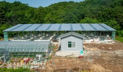 울산, 온양읍 망양리 불법 축사 건립 논란