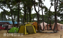 울산 동구, 장박텐트 극성 주전가족휴양지 유료화