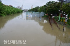 울산, 110㎜ 넘는 호우에 도로 침수·토사 유출 잇단 피해