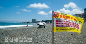 Photo des résultats de recherche Naver 1