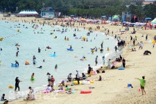 울산 진하해수욕장 피서객 북적