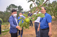 이선호 울주군수, 구영리 단감농장 태풍피해 복구 논의