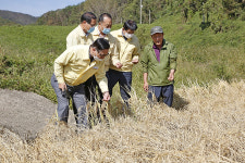 Foto aus Naver-Suchergebnissen 4