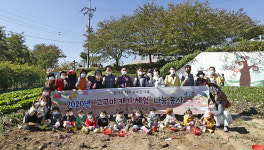 울산 농소1동 주민자치회, 홈골 체험장 고구마캐기 체험