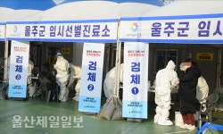 울주군 코로나 신속항원검사 효과 톡톡