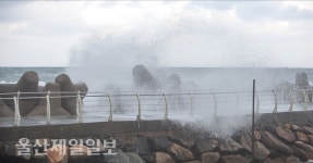 울산 주전해안 거센 파도
