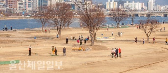 여유로운 울산 태화강변