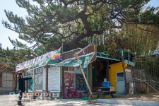 울산 유봉선 동구의원, 토지 보상 특혜 논란