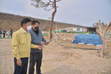 울산, 서생 화산리 대규모 불법 개발행위 적발