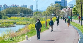 울산 태화강변 봄날의 산책