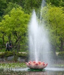 울산 선암호수공원 연꽃 분수