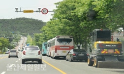 울산 다전로 무분별한 불법주정차 눈살