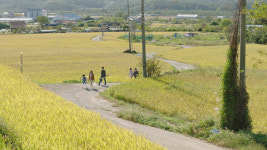 찾아가는 울산국제영화제 무료 상영회