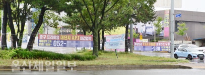 울산, 효문사거리 불법 현수막 난립