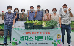 남구 신정3동 지역사회보장협의체, 채소 나눔