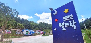 울산 입화산 별뜨락, 100일만에 벌써 전국 명소로