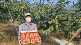 [제일가는 소상공인]좋은 단감은 맛부터 다릅니다