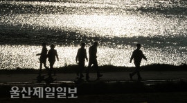 울산 태화강 은빛 햇살