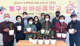 울산 한아름나눔사회적협동조합, 어르신 반려식물 전달