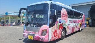 울산, 1127번 좌석버스에 활짝 핀 장미