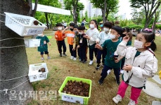 울산 남구 삼산수목학습원 개장...솔방울 던지며 자연체험